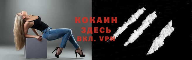 кокс Богородицк