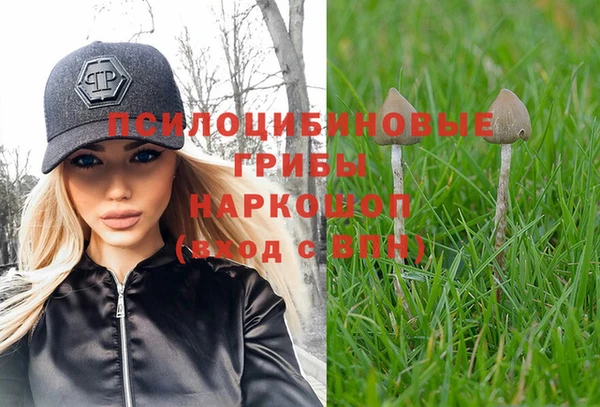 наркотики Богородск