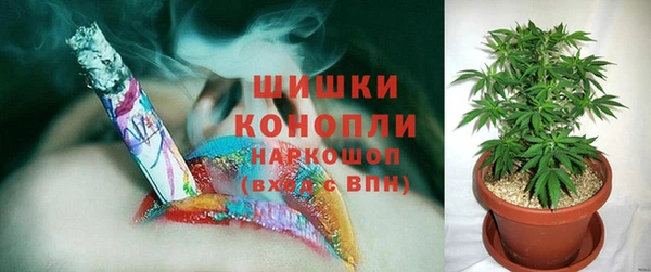 кокс Богородицк